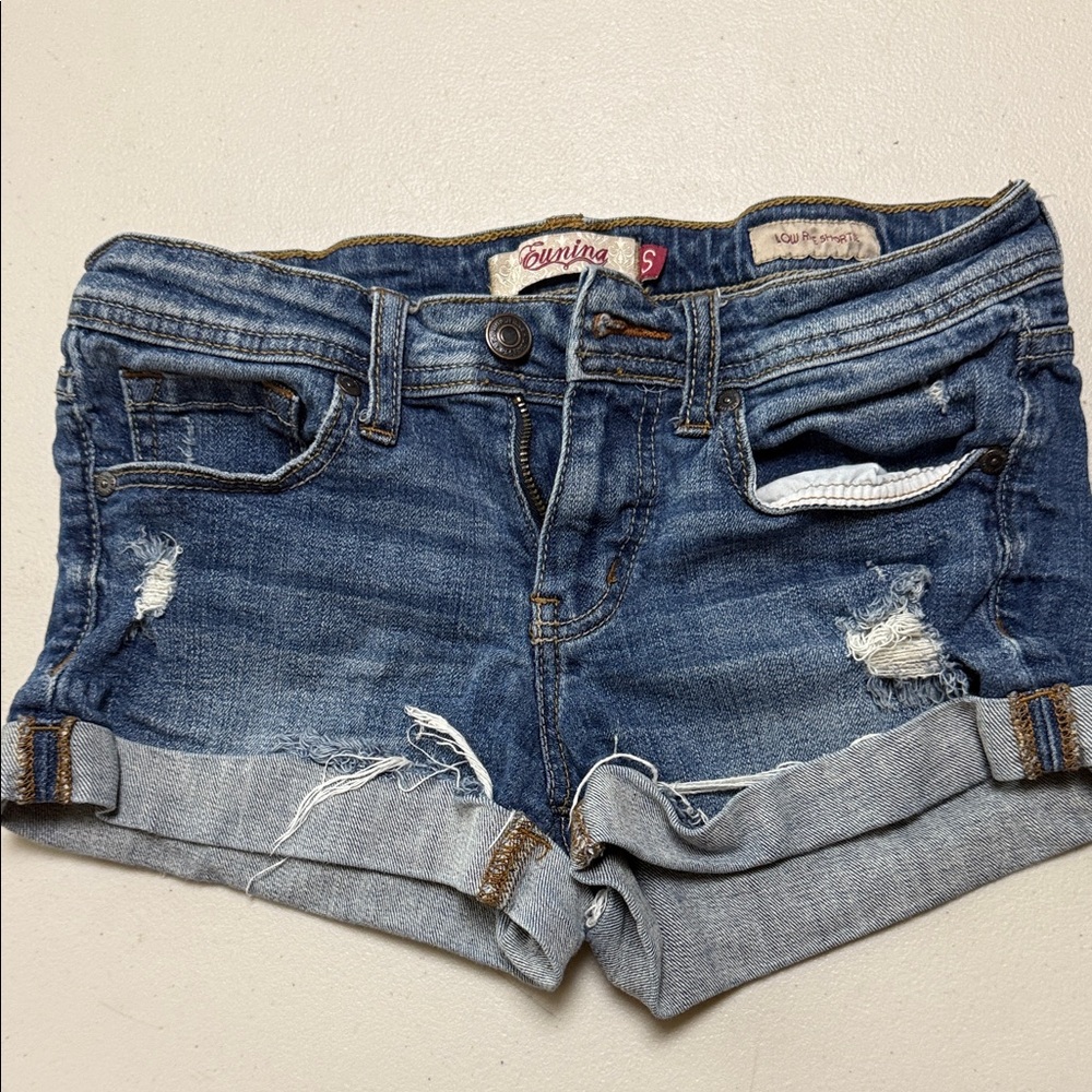 Eunina Blue Distressed Jean Shorts